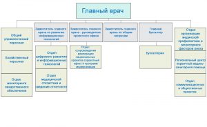 Структура женской консультации схема