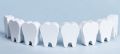 25 – июля День зубного техника
