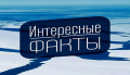 15 интересных фактов о мужском здоровье